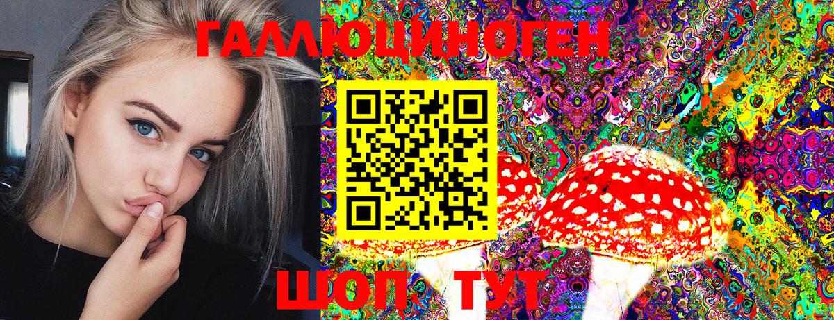 Псилоцибиновые грибы GOLDEN TEACHER  Вход с VPN  Кудрово 